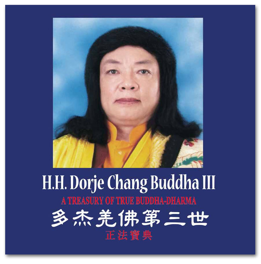 我愿承担因果报应的叙述