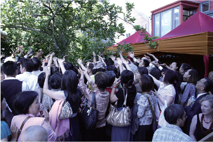 《揭开真相》(二十) 一书入寺木棉惊 神奇难测功绝顶-图片3