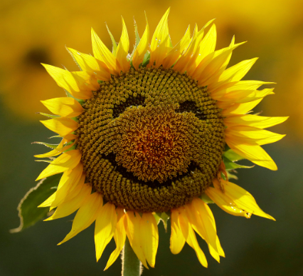 妈妈太有福报了,因为她去了更加幸福的地方