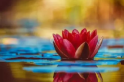 一次挑战法音精华提取共修主持人,让我闻法上了一个大台阶