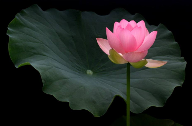 日常中我该如何穿钉耙杵拐杖?