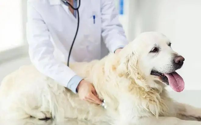 做了一辈子的医生,他却觉得自己不配做医生