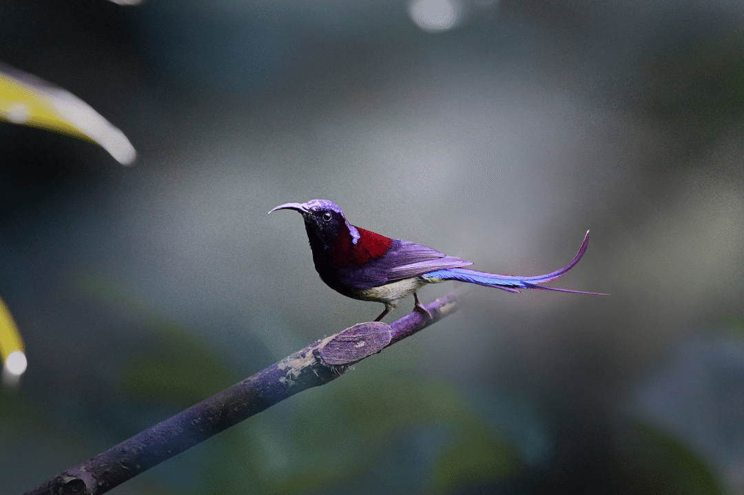 你还没有放下世俗的贪著吗?