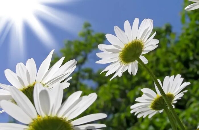 遇到这样的邻居,何尝不是检验修行的一种方式