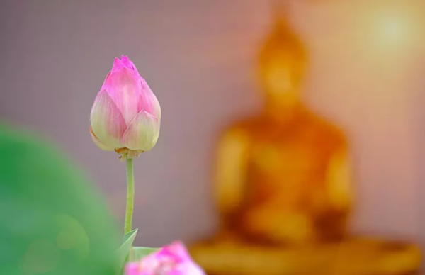 媳妇眼中的“恶婆婆”,一把辛酸泪有谁知