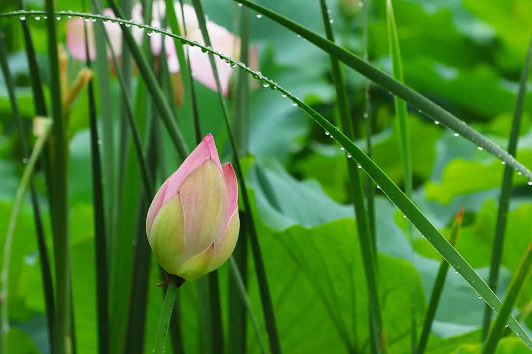 怎样才能成为一个成就解脱、幸福常乐、神通广大的圣者?