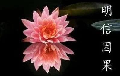 【感悟】初一十五上香上供一场空,虔心学佛得受用