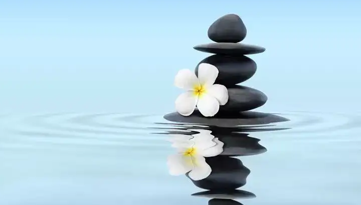 当我们执着“我对你错”时,烦恼犹如孙悟空三打白骨精