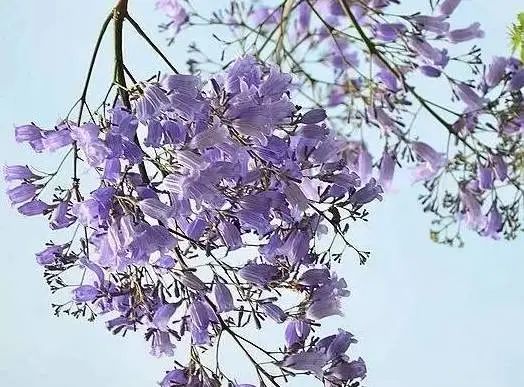 如此做佛事有用吗?