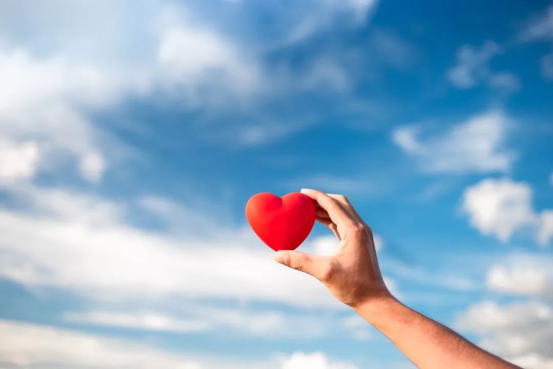 能不能为虚弱的父亲杀鱼补身体?我与妹妹吵翻天