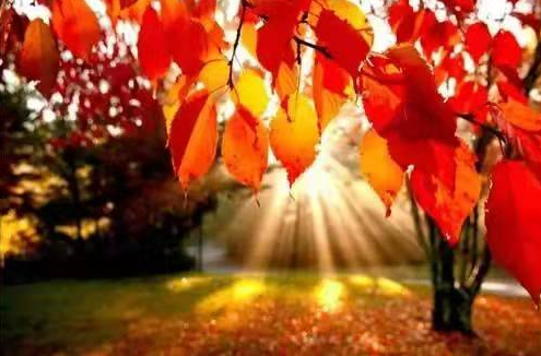 清明时节,终于体悟到“无常”的道理