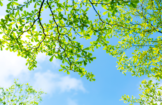 学佛后,如何应对“路怒症”