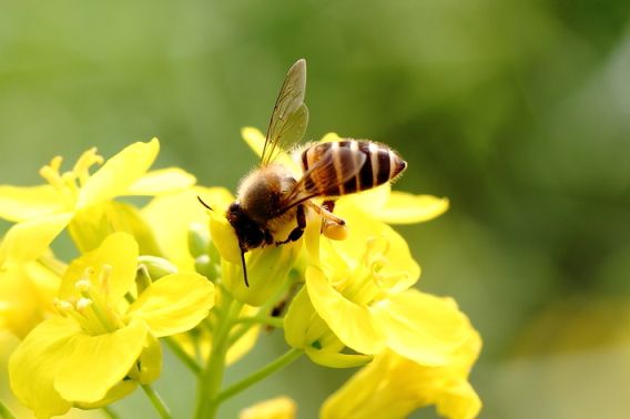 为何学佛后,还烦恼缠身