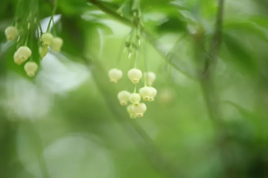 34岁女孩肺部肿瘤,生命垂危幸遇正法,重现曙光