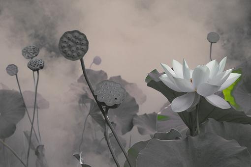 专学佛法义理就高兴,遇到俗务就厌烦,这种心态对吗?