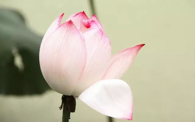 一个家庭的幸福,从好好说话开始