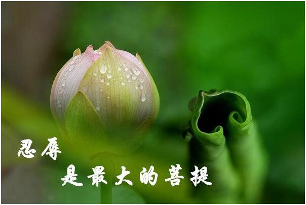 对境来时,忍辱便是修行