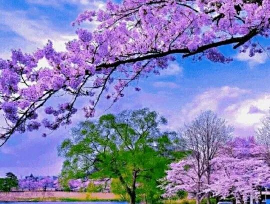 为什么有人生活一帆风顺而有人却举步维艰?