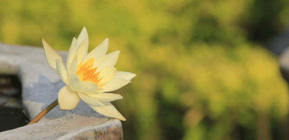 修行人要和世间的恶人恶事做抗争吗?