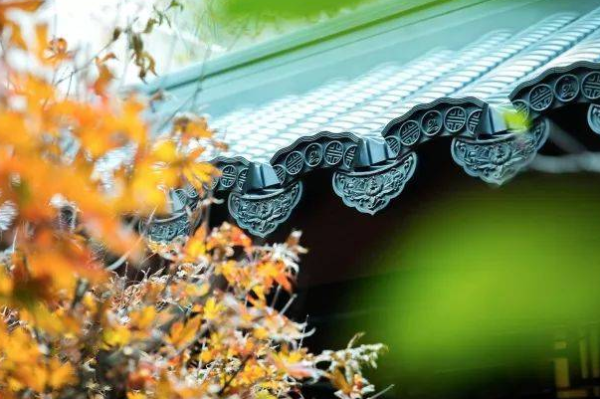 说说六道众生(六):人重新投胎会到哪里?