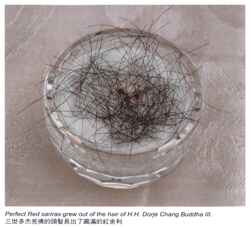 第三世多杰羌佛的发舍利