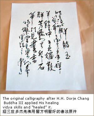 工厂专家束手无策 大法王上师声到病除-图片2