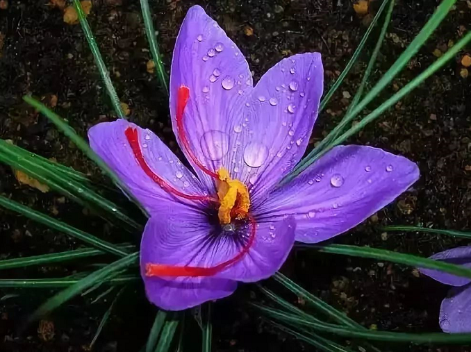 魔强法弱的时代,如何正确选择佛法?