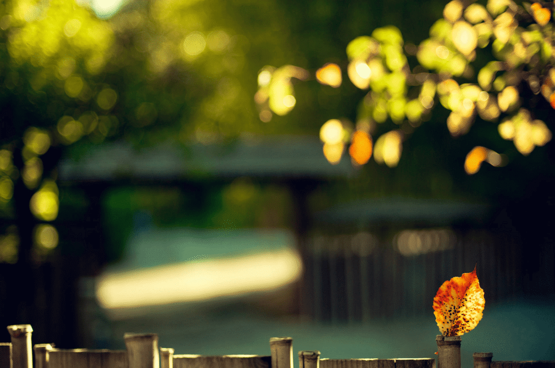 佛弟子如何跳出家庭矛盾的漩涡?