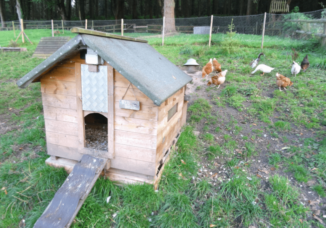 时隔多年,我那些黑压压的蚂蚁又浮现在眼前