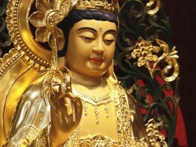 看到H.H.第三世多杰羌佛的佛陀真容面貌