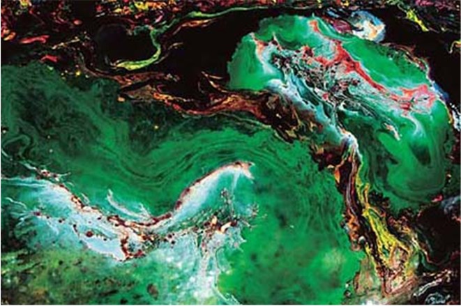 第三世多杰羌佛工巧明展显之 西画