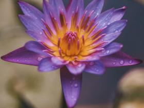 一号公路上的妖魔