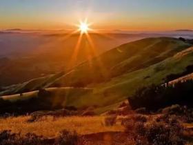 悭贪不孝恶口之果报