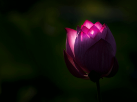 南无第三世多杰羌佛金刚圣针的威力