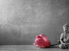 第三世多杰羌佛慈悲无量 治愈弟子重症