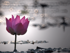 第三世多杰羌佛加持 肿瘤痊愈寿命延长