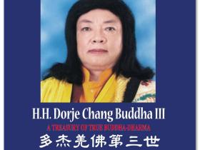 南无第三世多杰羌佛的圣迹佛格简介