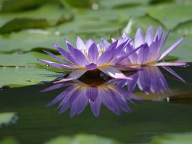 学会思维转弯是人生一种顶级的“智慧”