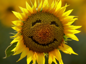 妈妈太有福报了,因为她去了更加幸福的地方