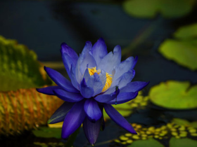 我亲身见证了卧床十多个月的 八旬老人重新坐立起来