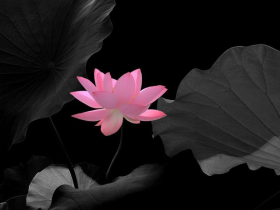 如法闻法付诸于实践修行让我疼了七年的类风湿,完全消失了