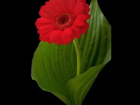 被新冠传染源包围下的我