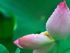 用这个方法我一定能做到“让自己吃亏,让他人得福”