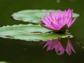 是什么让对我学佛有偏见的父亲有了彻底改变