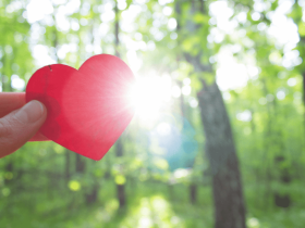 善良就是生活中的通行证