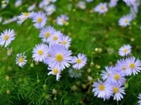 为什么只有经过圣考才能准确无误地确定真正的圣者