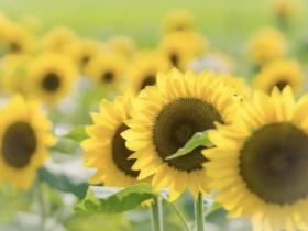 我们“家”的趣事