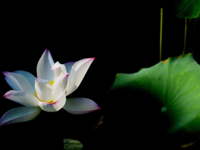 戒烟告别了昔日的生活