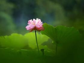 “阳过”纪实一则:脾性火爆的我,好遭罪