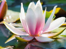 修学如来正法让我改掉了这个恶习